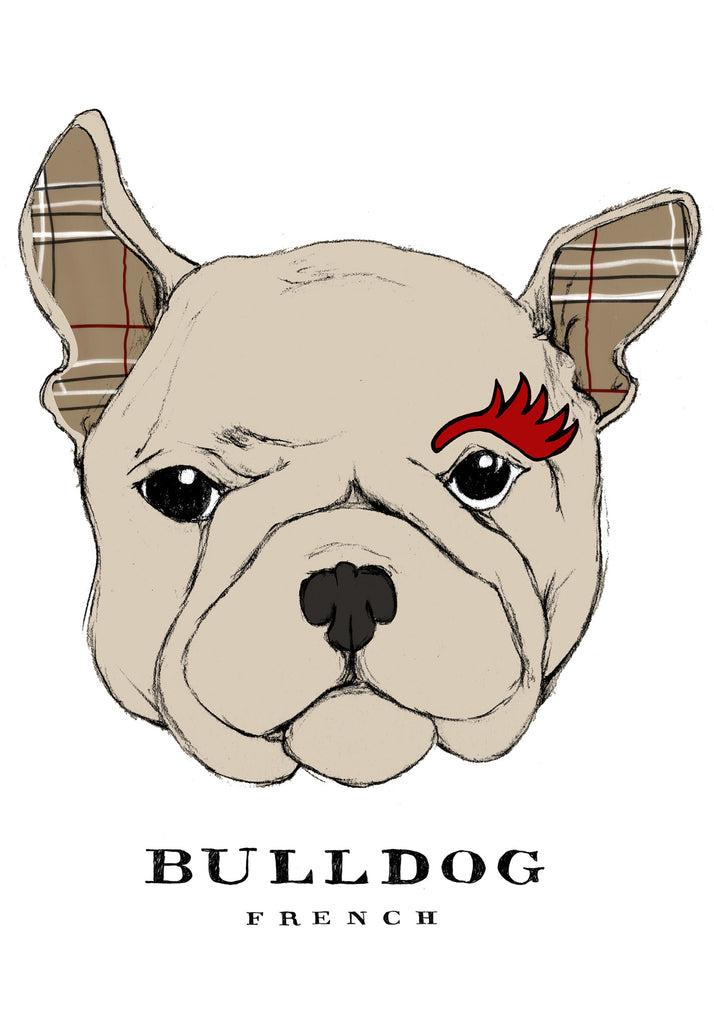 Bulldog